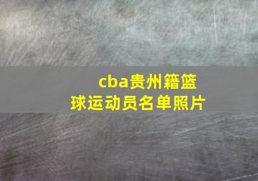 cba贵州籍篮球运动员名单照片