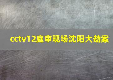 cctv12庭审现场沈阳大劫案