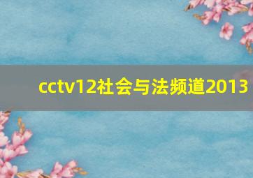 cctv12社会与法频道2013