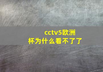 cctv5欧洲杯为什么看不了了