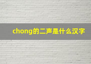 chong的二声是什么汉字