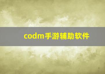 codm手游辅助软件