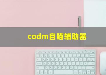 codm自瞄辅助器