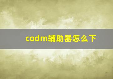 codm辅助器怎么下