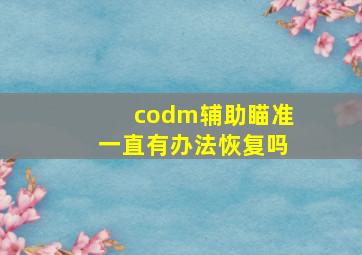 codm辅助瞄准一直有办法恢复吗