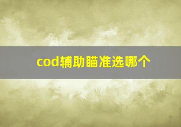 cod辅助瞄准选哪个