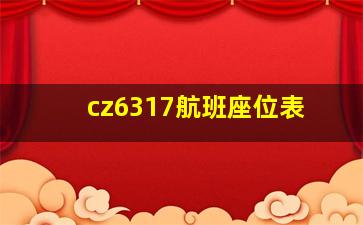 cz6317航班座位表