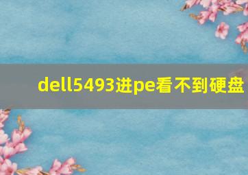 dell5493进pe看不到硬盘