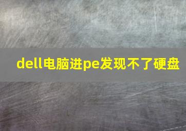 dell电脑进pe发现不了硬盘