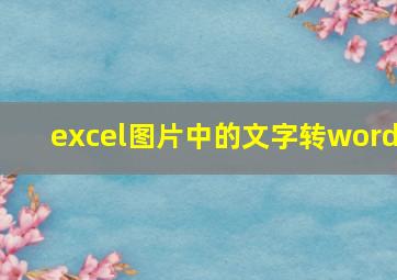 excel图片中的文字转word