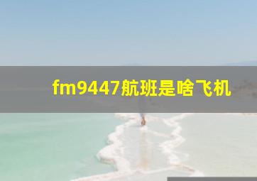 fm9447航班是啥飞机