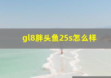 gl8胖头鱼25s怎么样