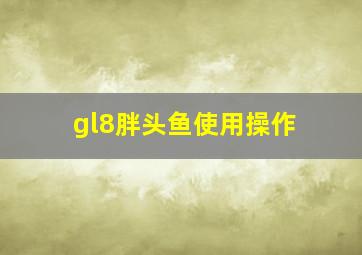 gl8胖头鱼使用操作