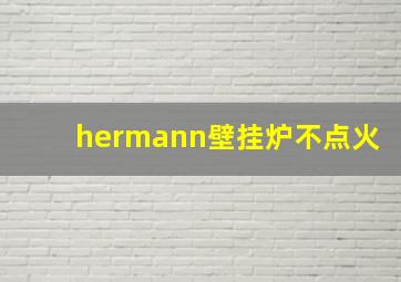 hermann壁挂炉不点火