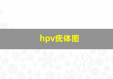 hpv疣体图