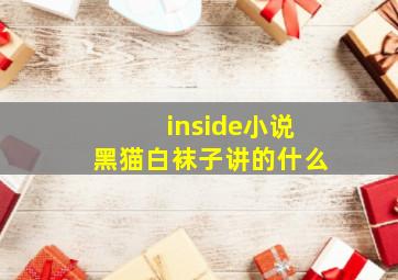 inside小说黑猫白袜子讲的什么