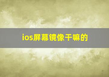 ios屏幕镜像干嘛的