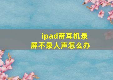 ipad带耳机录屏不录人声怎么办