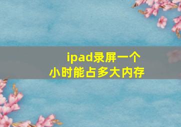 ipad录屏一个小时能占多大内存