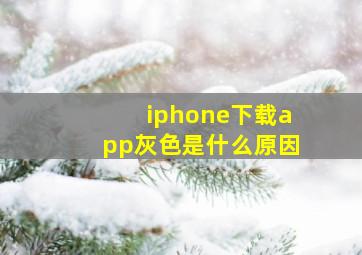 iphone下载app灰色是什么原因