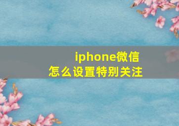 iphone微信怎么设置特别关注