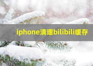 iphone清理bilibili缓存