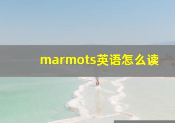 marmots英语怎么读