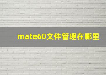 mate60文件管理在哪里