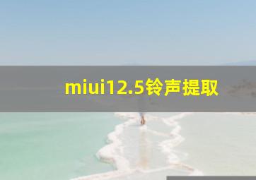 miui12.5铃声提取