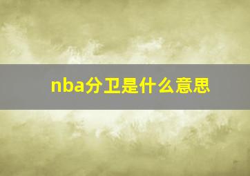 nba分卫是什么意思