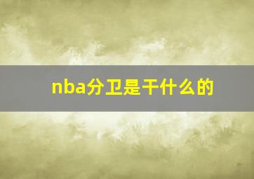 nba分卫是干什么的