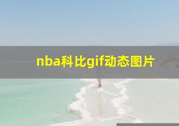 nba科比gif动态图片