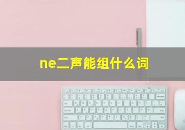 ne二声能组什么词