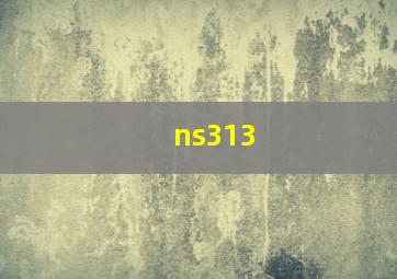 ns313