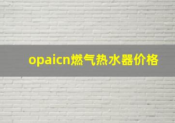 opaicn燃气热水器价格