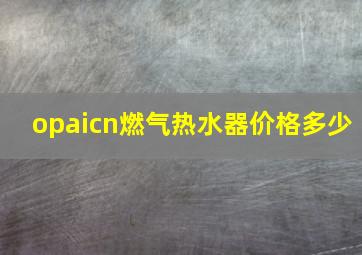 opaicn燃气热水器价格多少