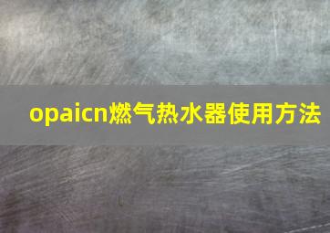 opaicn燃气热水器使用方法