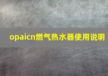 opaicn燃气热水器使用说明