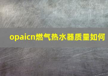 opaicn燃气热水器质量如何