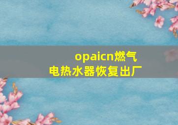 opaicn燃气电热水器恢复出厂