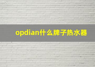 opdian什么牌子热水器