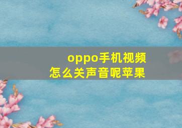 oppo手机视频怎么关声音呢苹果