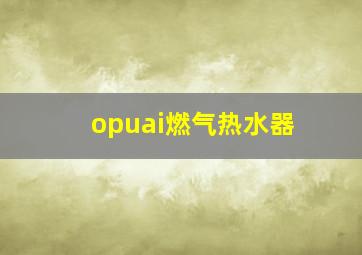 opuai燃气热水器