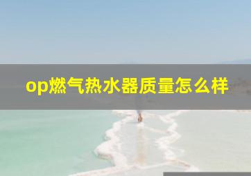 op燃气热水器质量怎么样