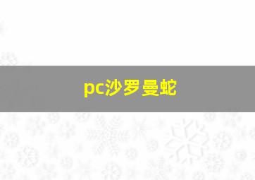 pc沙罗曼蛇