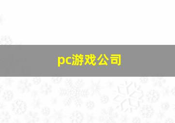 pc游戏公司