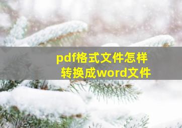 pdf格式文件怎样转换成word文件