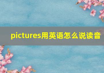 pictures用英语怎么说读音