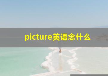 picture英语念什么