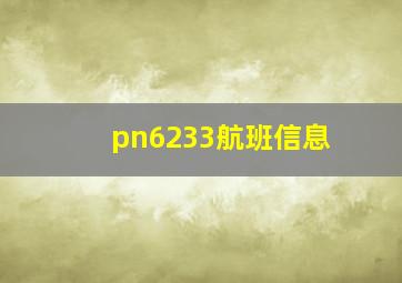 pn6233航班信息